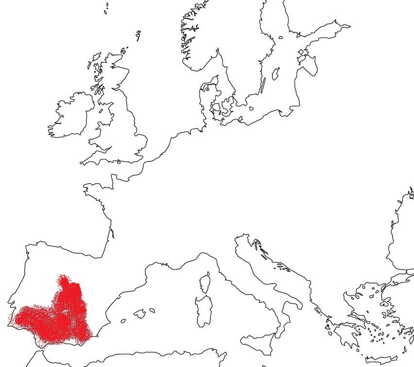 5b.jpg