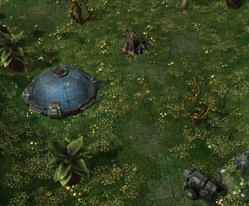 SC-Valley4.jpg