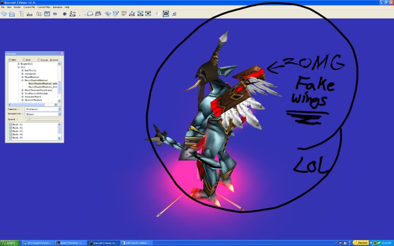 fakewings.jpg