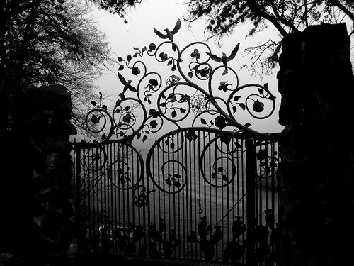 garden_with_death_roses_by_godsgirl33-d4yei2i.jpg