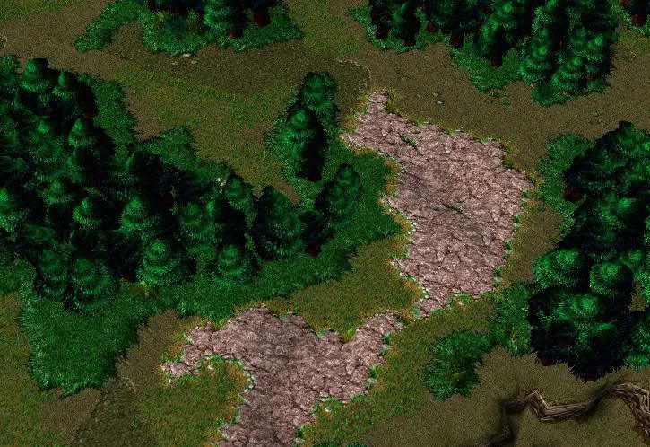 SS02.jpg