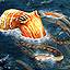 kraken-icon.jpg