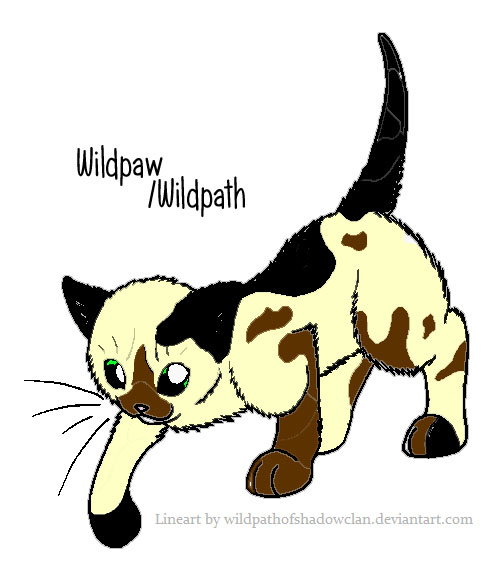 wildpaw_by_vettob-d648dhl.jpg