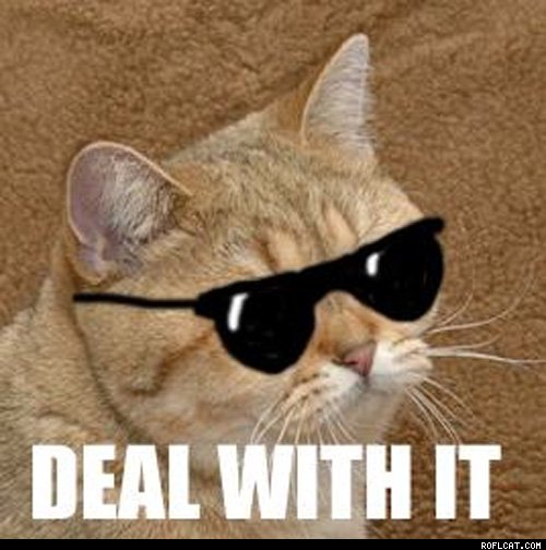xDeal_With_It.jpg.pagespeed.ic.RX4hPJpUjr.jpg