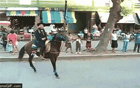 tumblr_m1pjor4dEl1qb5gkjo1_400.gif