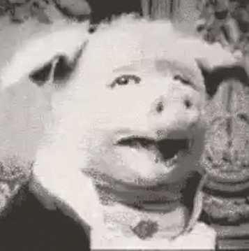 222907-albums6816-picture92651.gif