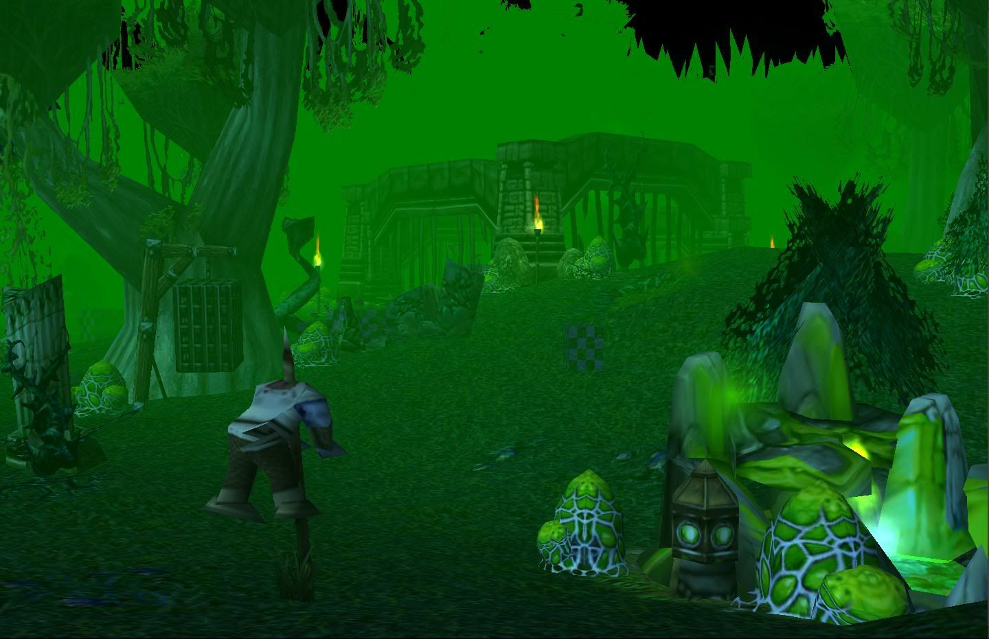 Swamp2.jpg