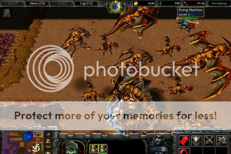 hllrdragons.jpg