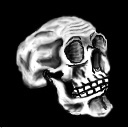 Skull.jpg