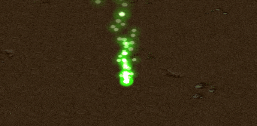 gif1.jpg