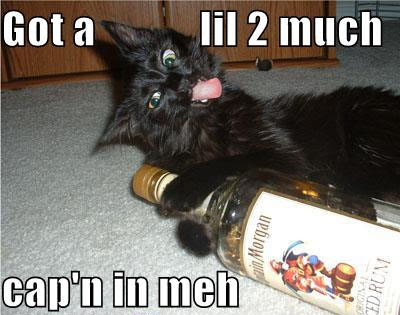 kitteh.jpg