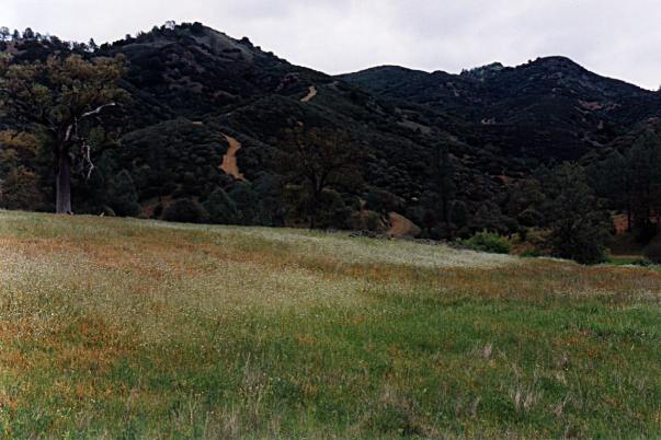 BearMountainRoad4_22_2000.jpg