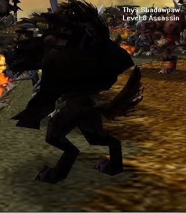ThysShadowpaw.jpg