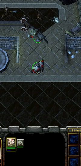 trainerfarm.jpg