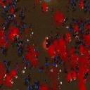 178091-albums5176-picture65313.jpg