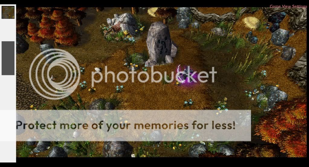 WC3ScrnShot_032809_224844_01.jpg