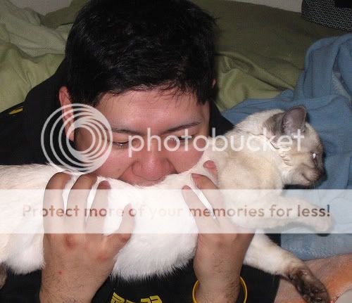 ManEatingCat.jpg