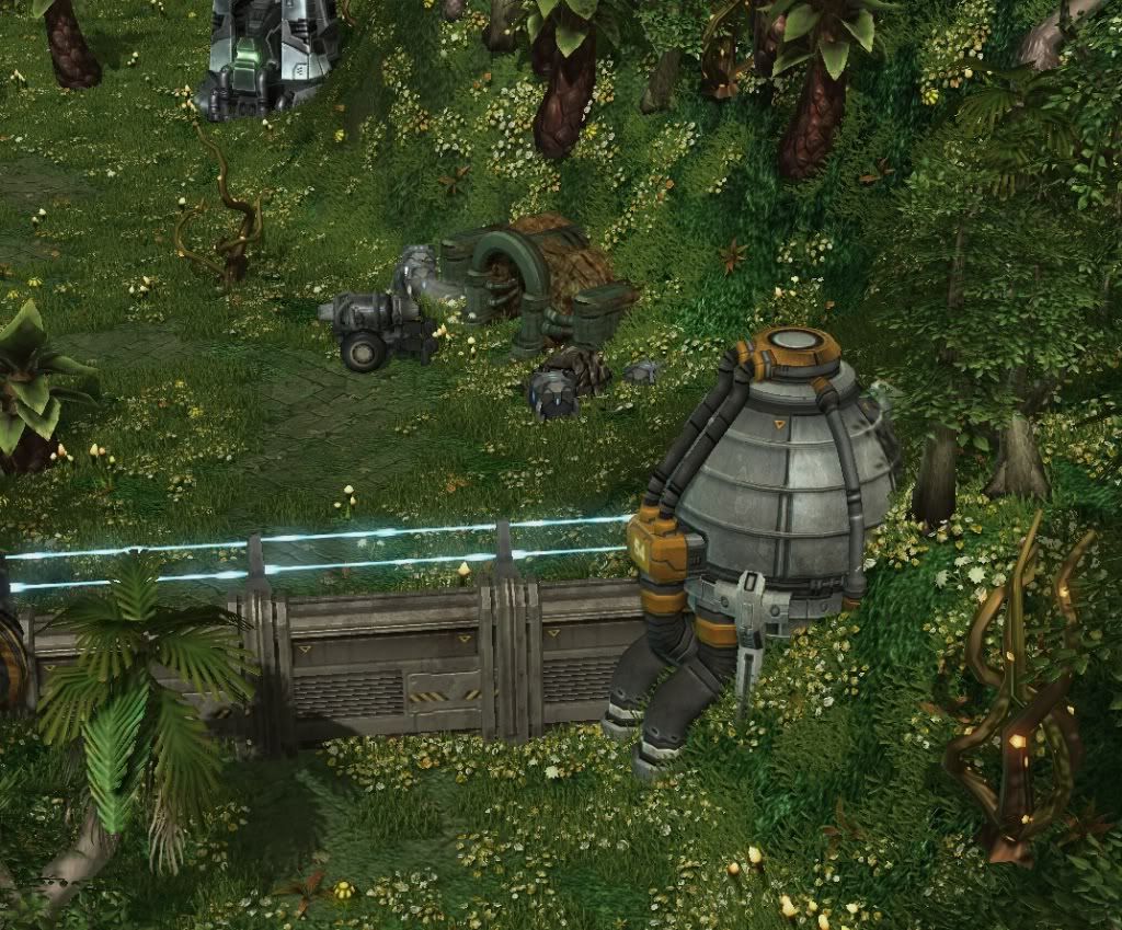 SC-Valley3.jpg