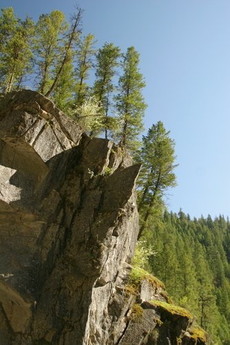 pine-trees-and-rock-cliff-idaho-id137.jpg