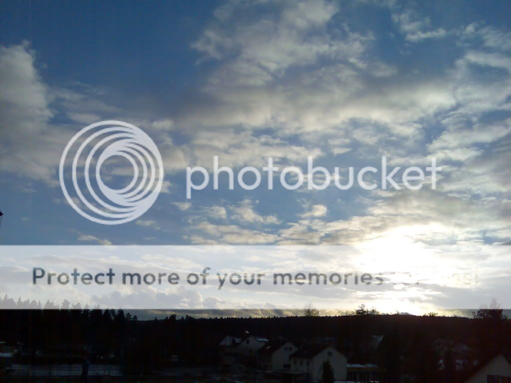Bild568.jpg