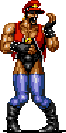 sor3-8.gif
