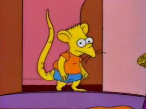 Bart_S_rata.jpg