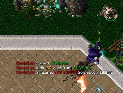 trainerfight3.jpg