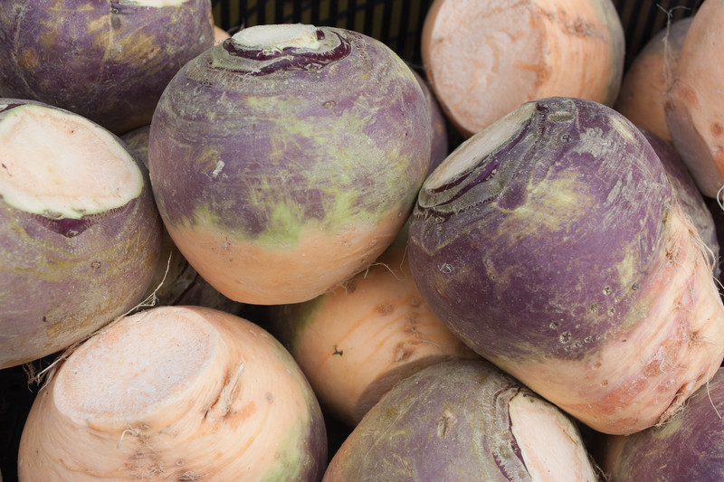 canstockphoto5585590.jpg