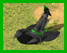 198768-albums8927-picture109207.png