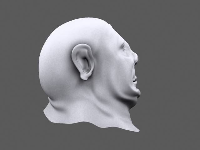 Face1WIPSS10.jpg