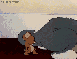 158487-albums5564-picture67915.gif