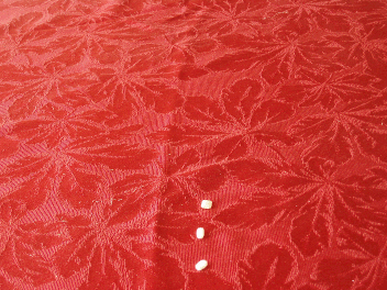 153136-albums2842-picture45699.gif