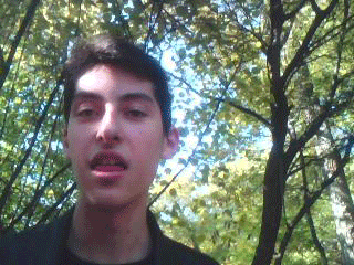 -.gif