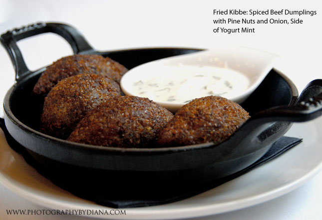 FriedKibbe.jpg