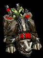kodo.gif