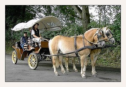 kutsche2.jpg