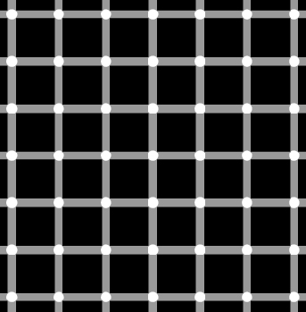 gridillusion.jpg