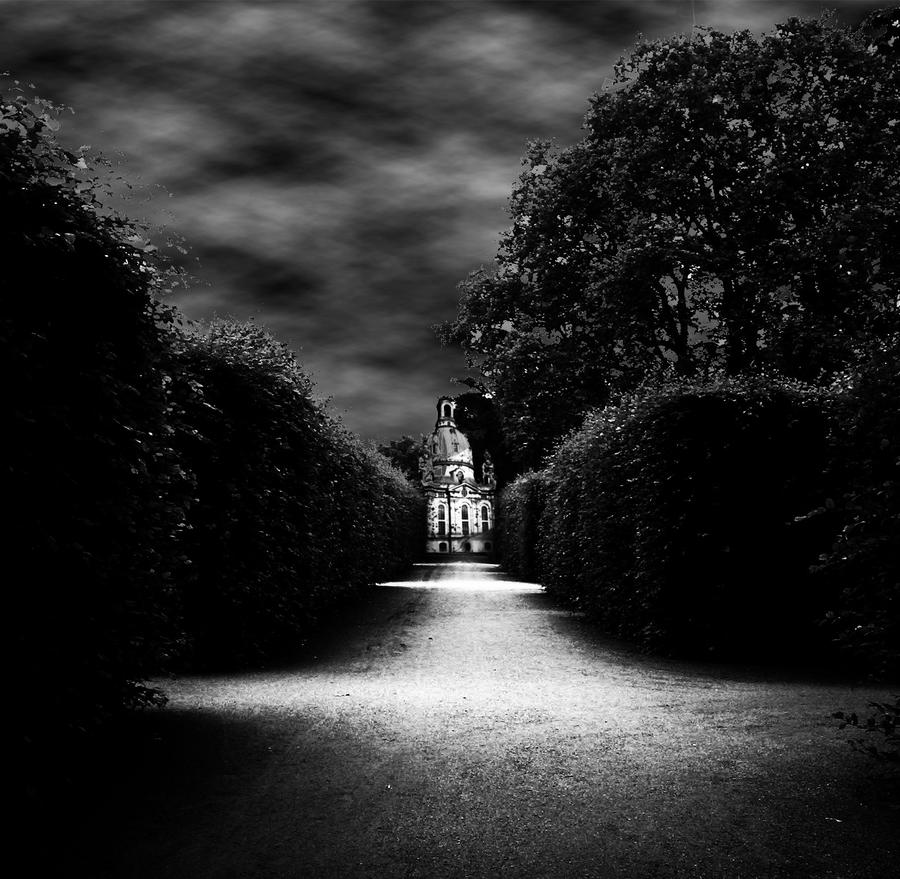 Dark_Garden_by_Personnel_of_Death.jpg