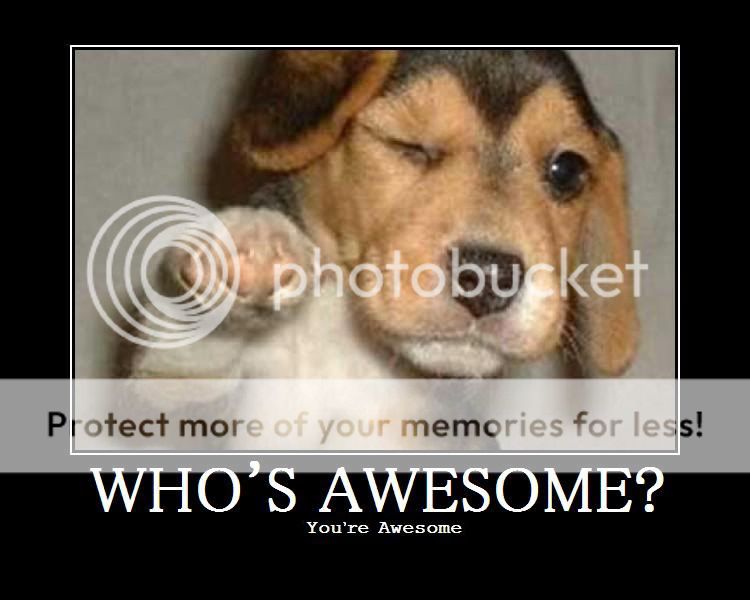 PuppyAwesome.jpg