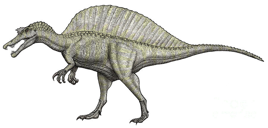 an-albino-spinosaurus-vitor-silva.jpg