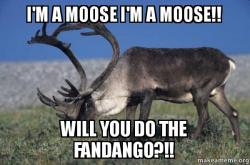 im-a-moose.jpg