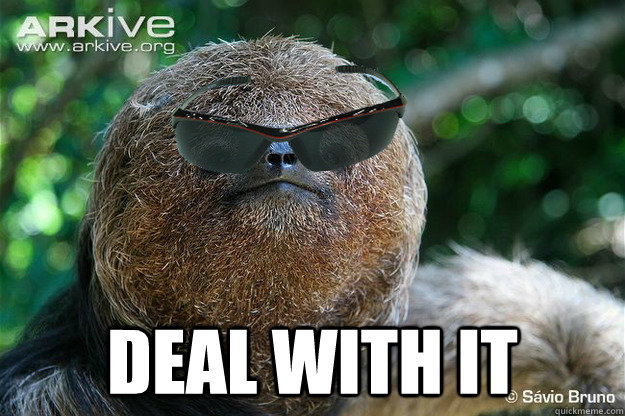 Deal-With-It-Sloth-Meme-03.jpg
