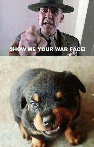 show+me+your+war+face_7aaab4_3852904.jpg