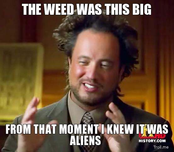 the-weed-was-this-big-from-that-moment-i-knew-it-was-aliens.jpg
