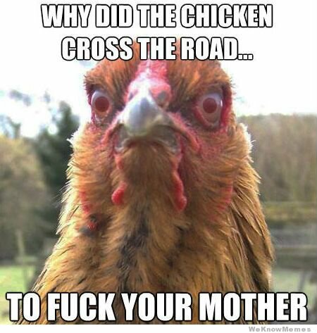 why-did-the-chicken-cross-the-road.jpg