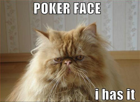 pokercats-face.jpg