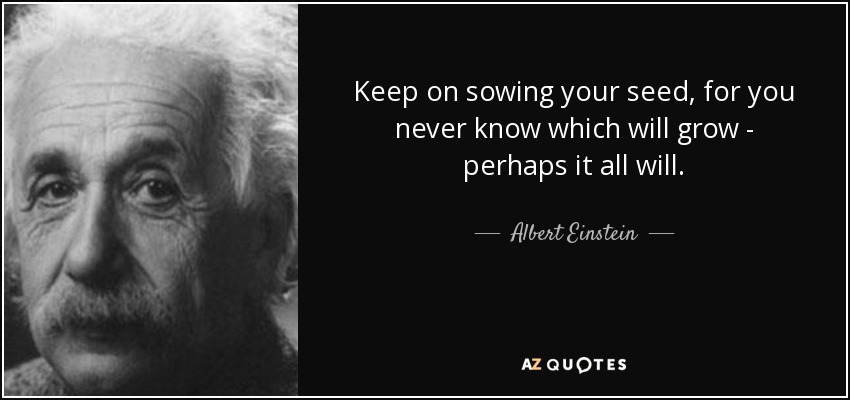 quote-keep-on-sowing-your-seed-for-you-never-know-which-will-grow-perhaps-it-all-will-albert-einstein-54-76-08.jpg