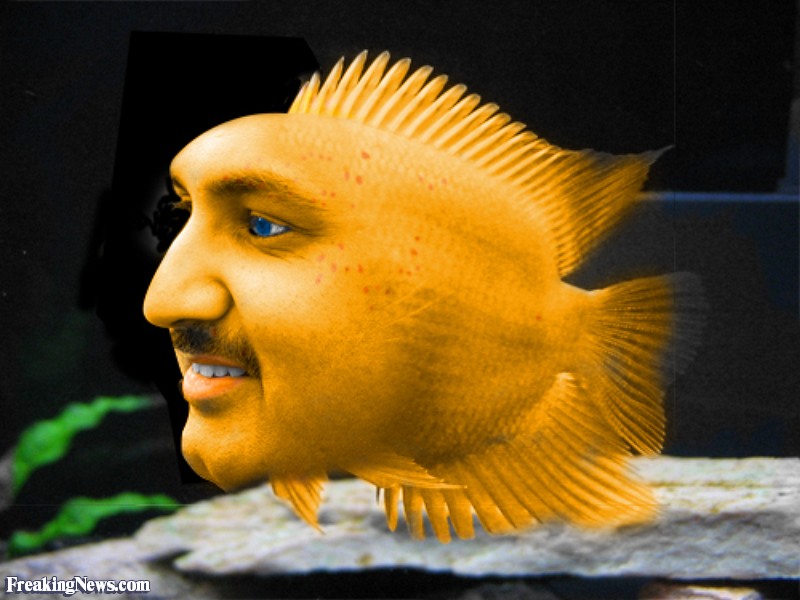 Human-Fish-Face--30917.jpg