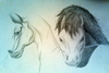 107417d1319185523-gallery-anarchy-bedlam-horsies.png