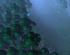 140990d1416233702-2-enchanted-glade-enchantedglade_screenshot1.png